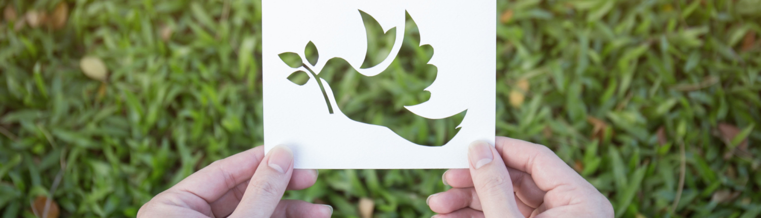 Elaine Nicholson MBE Elaine Nicholson MBE Autism-Specialist Counsellor